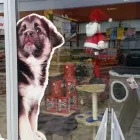 12 obrázok firmy COBBYS PET SHOP S.R.O. v Nitra NI