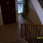 2 obrázok firmy COLOR EFEKT v Košice KI