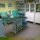 4 obrázok firmy MVDR. JÁN NEUWIRTH Veterinár v Prievidza TC