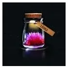 1 obrázok firmy NAJDARCEK.SK v Bratislava BL