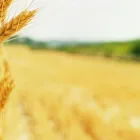 1 obrázok firmy NATURALIS SK, S.R.O. Environmentálna organizácia v Bratislava BL