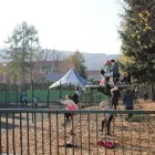 2 obrázok firmy THE BRITISH INTERNATIONAL SCHOOL, BRATISLAVA (PRIMARY & SECONDARY) Základná škola v Bratislava