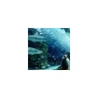 3 obrázok firmy TIP TRAVEL A.S. v Bratislava BL