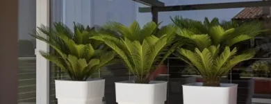 1 obrázok firmy KOCHLIK v Bratislava BL