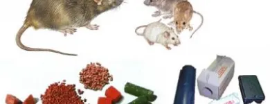 3 obrázok firmy MARIÁN KOCO INSEKTA BIO v Košice KI
