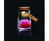 1 obrázok firmy NAJDARCEK.SK