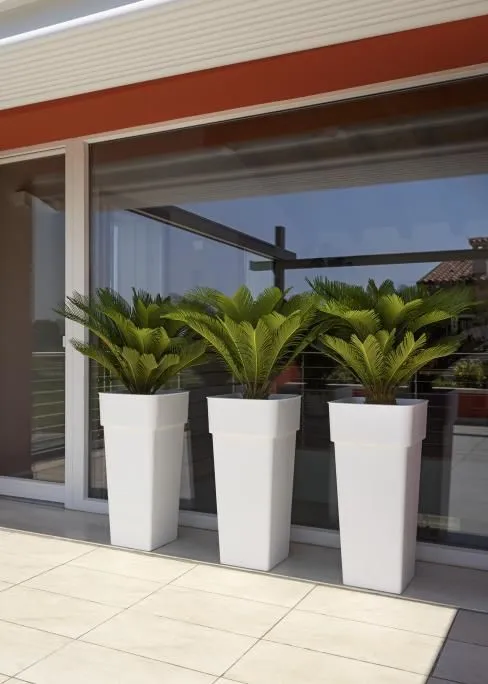 1 obrázok firmy KOCHLIK