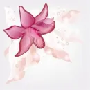 REŠTAURÁCIA KVETINKA Služba domáceho doručovania jedál v Bratislava